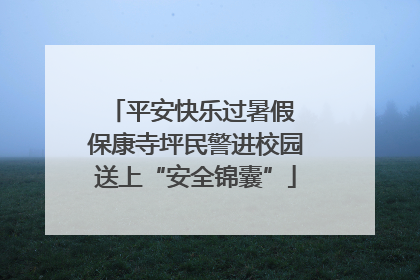 平安快乐过暑假 保康寺坪民警进校园送上“安全锦囊”