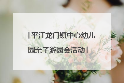 平江龙门镇中心幼儿园亲子游园会活动