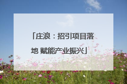 庄浪：招引项目落地 赋能产业振兴
