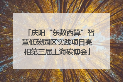 庆阳“东数西算”智慧低碳园区实践项目亮相第三届上海碳博会