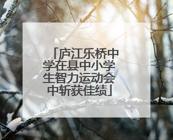 庐江乐桥中学在县中小学生智力运动会中斩获佳绩
