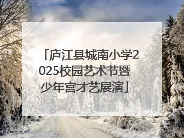 庐江县城南小学2025校园艺术节暨少年宫才艺展演