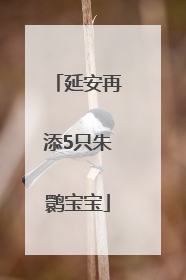 延安再添5只朱鹮宝宝
