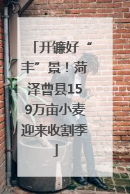 开镰好“丰”景！菏泽曹县159万亩小麦迎来收割季