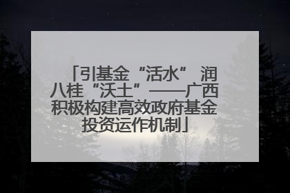 引基金“活水” 润八桂“沃土”——广西积极构建高效政府基金投资运作机制