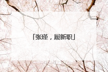 张瑾，履新职