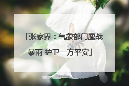 张家界：气象部门鏖战暴雨 护卫一方平安