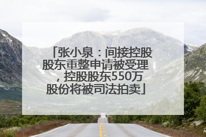 张小泉：间接控股股东重整申请被受理，控股股东550万股份将被司法拍卖