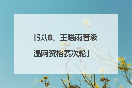 张帅、王曦雨晋级温网资格赛次轮