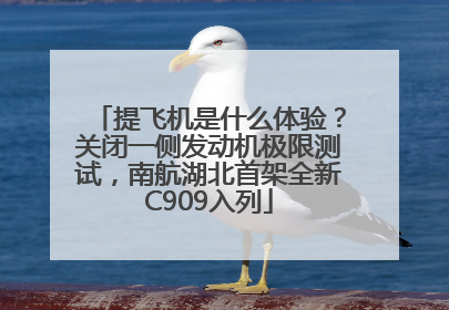 提飞机是什么体验？关闭一侧发动机极限测试，南航湖北首架全新C909入列