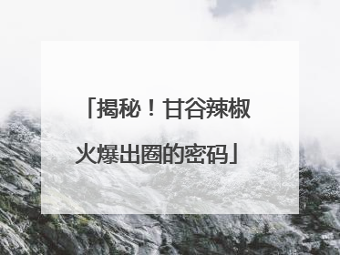 揭秘！甘谷辣椒火爆出圈的密码