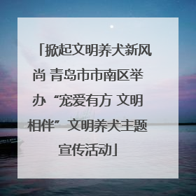 掀起文明养犬新风尚 青岛市市南区举办“宠爱有方 文明相伴”文明养犬主题宣传活动