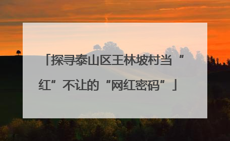 探寻泰山区王林坡村当“红”不让的“网红密码”