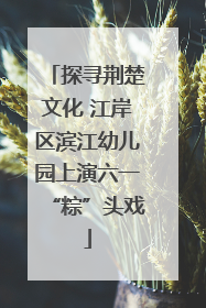 探寻荆楚文化 江岸区滨江幼儿园上演六一“粽”头戏