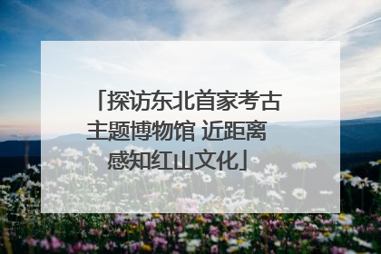 探访东北首家考古主题博物馆 近距离感知红山文化