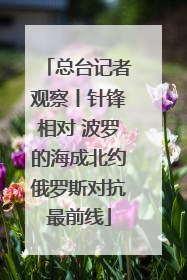 总台记者观察丨针锋相对 波罗的海成北约俄罗斯对抗最前线