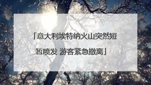 意大利埃特纳火山突然短暂喷发 游客紧急撤离
