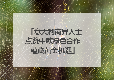 意大利商界人士点赞中欧绿色合作蕴藏黄金机遇