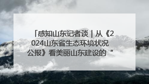 感知山东记者谈｜从《2024山东省生态环境状况公报》看美丽山东建设的“成绩单”与“任务书”