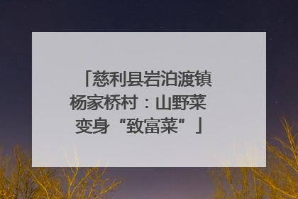 慈利县岩泊渡镇杨家桥村：山野菜变身“致富菜”