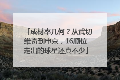 成材率几何？从武切维奇到申京，16顺位走出的球星还真不少