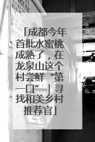 成都今年首批水蜜桃成熟了，在龙泉山这个村尝鲜“第一口”｜寻找和美乡村推荐官