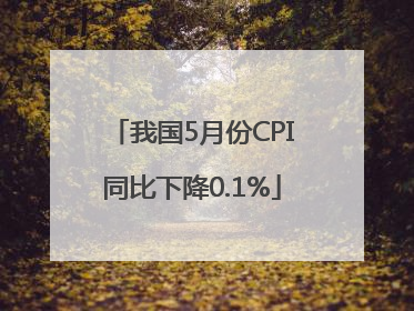 我国5月份CPI同比下降0.1%