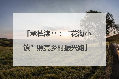 承德滦平：“花海小镇”照亮乡村振兴路