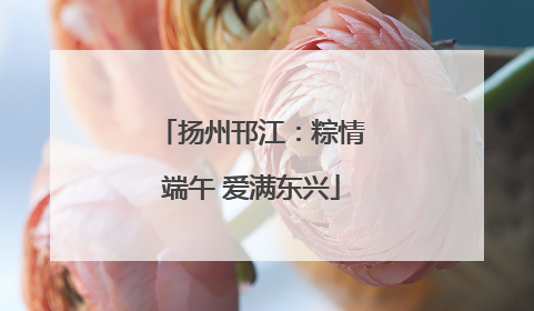 扬州邗江：粽情端午 爱满东兴
