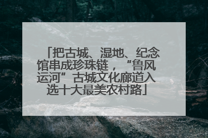 把古城、湿地、纪念馆串成珍珠链，“鲁风运河”古城文化廊道入选十大最美农村路