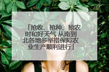 抢收、抢种、抢农时和好天气 从南到北各地多举措保障农业生产顺利进行