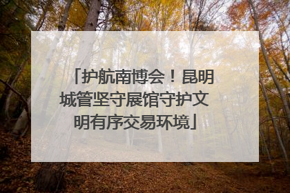 护航南博会！昆明城管坚守展馆守护文明有序交易环境