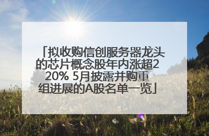 拟收购信创服务器龙头的芯片概念股年内涨超220% 5月披露并购重组进展的A股名单一览