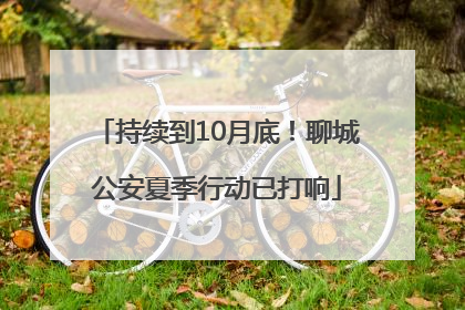 持续到10月底！聊城公安夏季行动已打响