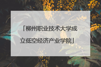 柳州职业技术大学成立低空经济产业学院