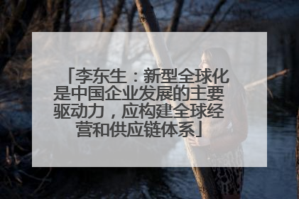 李东生：新型全球化是中国企业发展的主要驱动力，应构建全球经营和供应链体系