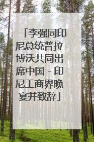 李强同印尼总统普拉博沃共同出席中国－印尼工商界晚宴并致辞