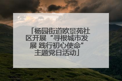 杨园街道欧景苑社区开展“寻根城市发展 践行初心使命”主题党日活动
