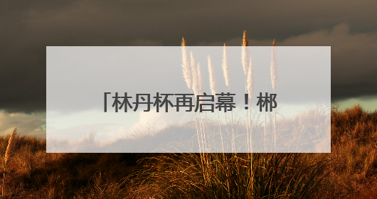 林丹杯再启幕！郴州以羽球为媒邀世界共赴山水之约