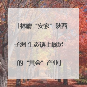 林麝“安家”陕西子洲 生态链上崛起的“黄金”产业