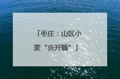 枣庄：山区小麦“喜开镰”