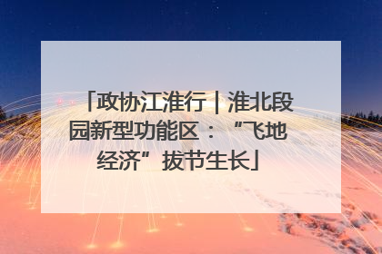 政协江淮行｜淮北段园新型功能区：“飞地经济”拔节生长