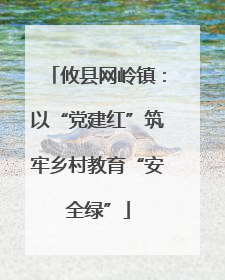 攸县网岭镇：以“党建红”筑牢乡村教育“安全绿”
