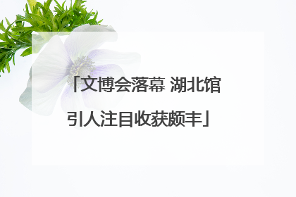文博会落幕 湖北馆引人注目收获颇丰