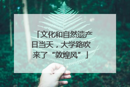 文化和自然遗产日当天，大学路吹来了“敦煌风”