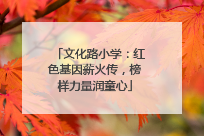 文化路小学：红色基因薪火传，榜样力量润童心