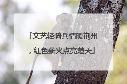 文艺轻骑兵情暖荆州，红色薪火点亮楚天