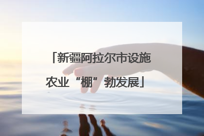新疆阿拉尔市设施农业“棚”勃发展