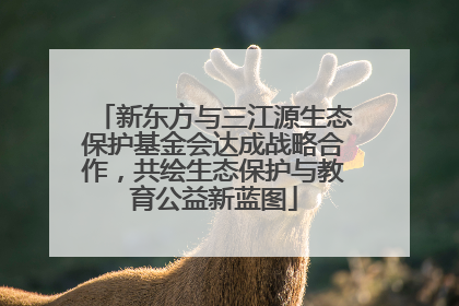 新东方与三江源生态保护基金会达成战略合作，共绘生态保护与教育公益新蓝图