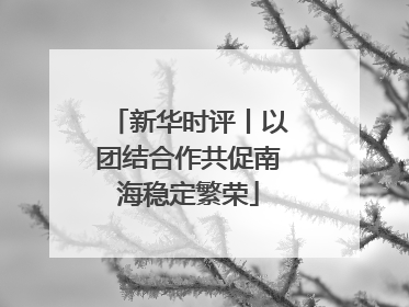 新华时评丨以团结合作共促南海稳定繁荣